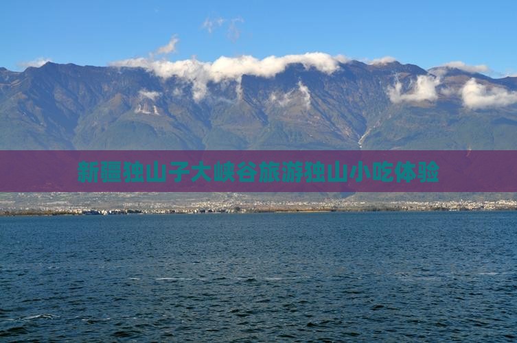 永新去新疆独山子大峡谷旅游小吃