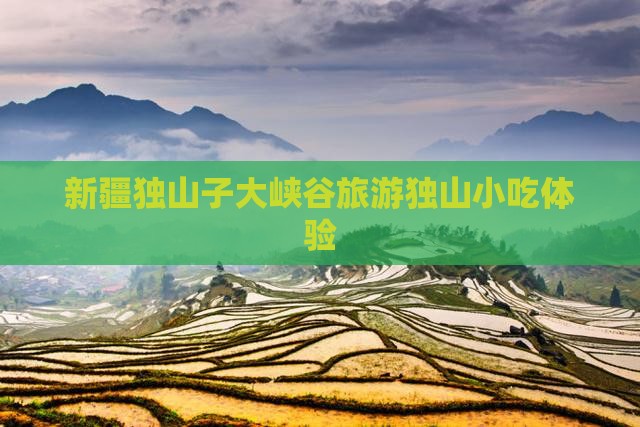 永新去新疆独山子大峡谷旅游小吃