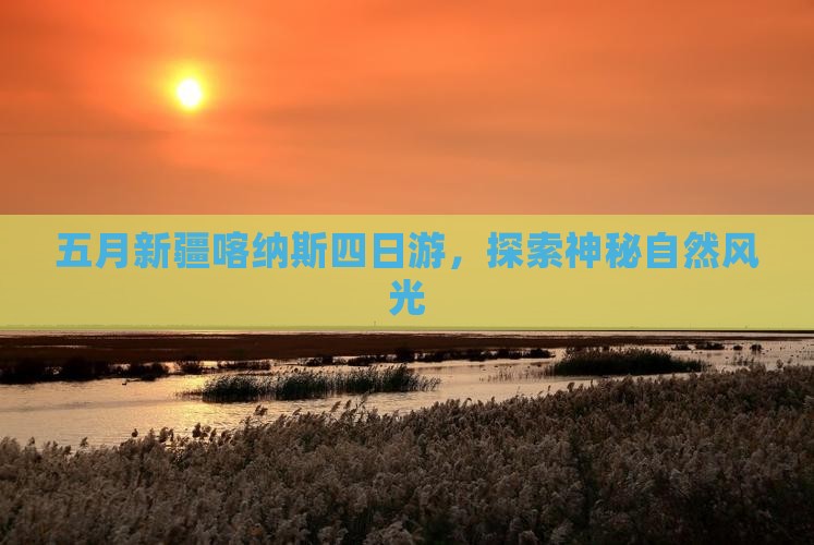 五月去新疆喀纳斯四日游