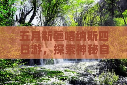五月去新疆喀纳斯四日游