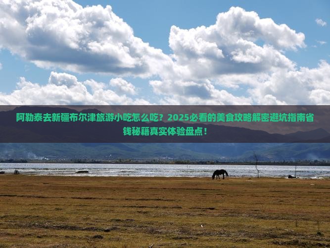 阿勒泰去新疆布尔津旅游小吃