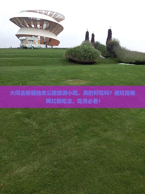 大同去新疆独库公路旅游小吃