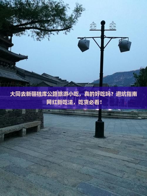 大同去新疆独库公路旅游小吃