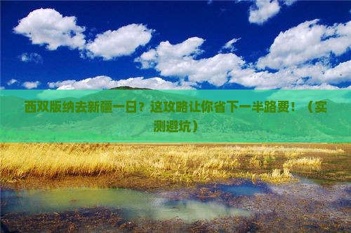 西双版纳去新疆一日