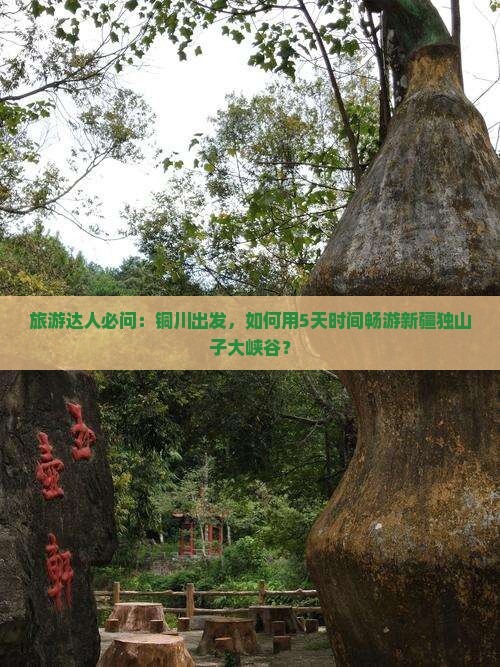 旅游达人必问：铜川出发，如何用5天时间畅游新疆独山子大峡谷？