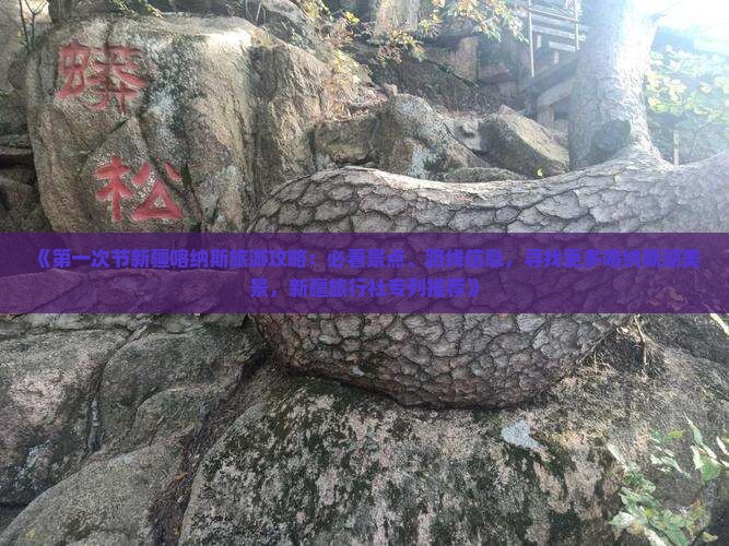 《第一次节新疆喀纳斯旅游攻略：必看景点、路线信息，寻找更多喀纳斯湖美景，新疆旅行社专列推荐》