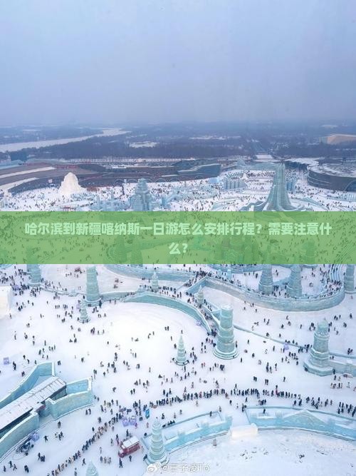 哈尔滨到新疆喀纳斯一日游怎么安排行程？需要注意什么？