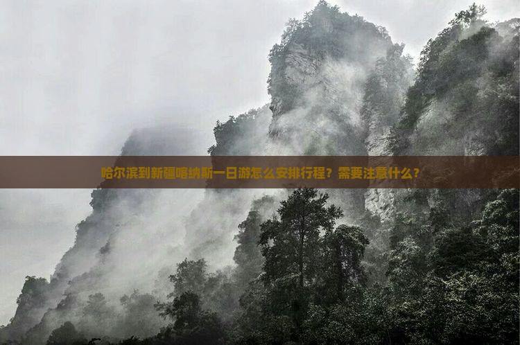 哈尔滨到新疆喀纳斯一日游怎么安排行程？需要注意什么？