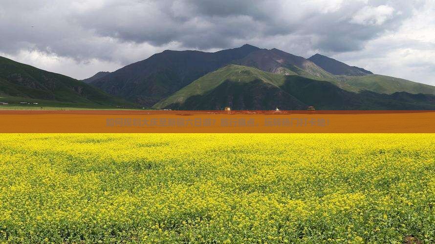 如何规划大庆至新疆六日游？旅行痛点，玩转热门打卡地！