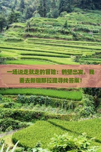 一场说走就走的冒险：鹤壁出发，我要去新疆那拉提寻找答案！