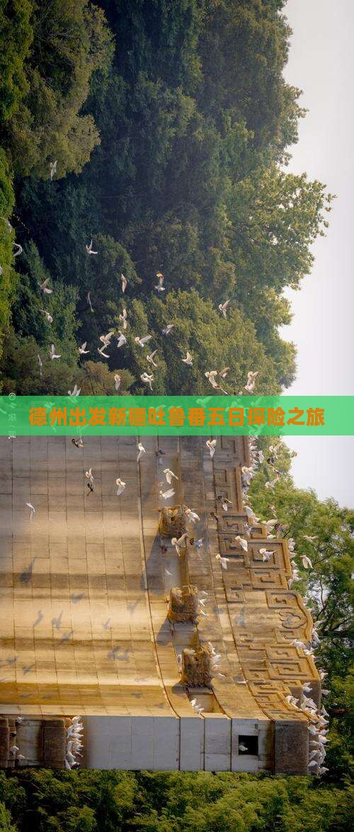 德州出发新疆吐鲁番五日探险之旅