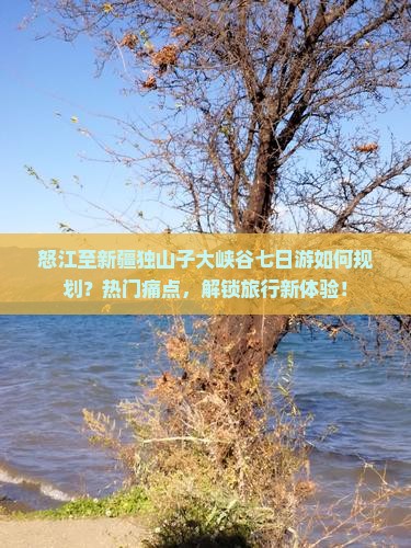 怒江至新疆独山子大峡谷七日游如何规划？热门痛点，解锁旅行新体验！