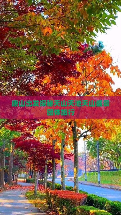 唐山出发探秘天山天池天山盛景团体旅行