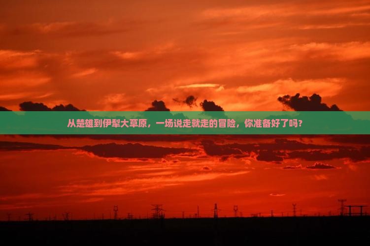 从楚雄到伊犁大草原，一场说走就走的冒险，你准备好了吗？
