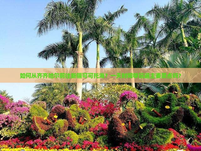 如何从齐齐哈尔前往新疆可可托海？一天时间够玩遍主要景点吗？