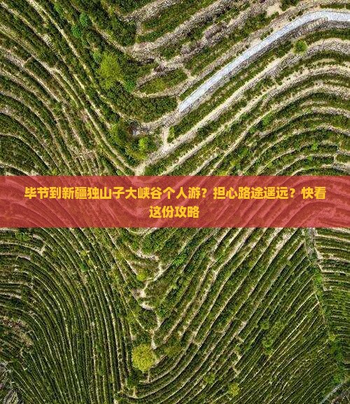毕节到新疆独山子大峡谷个人游？担心路途遥远？快看这份攻略