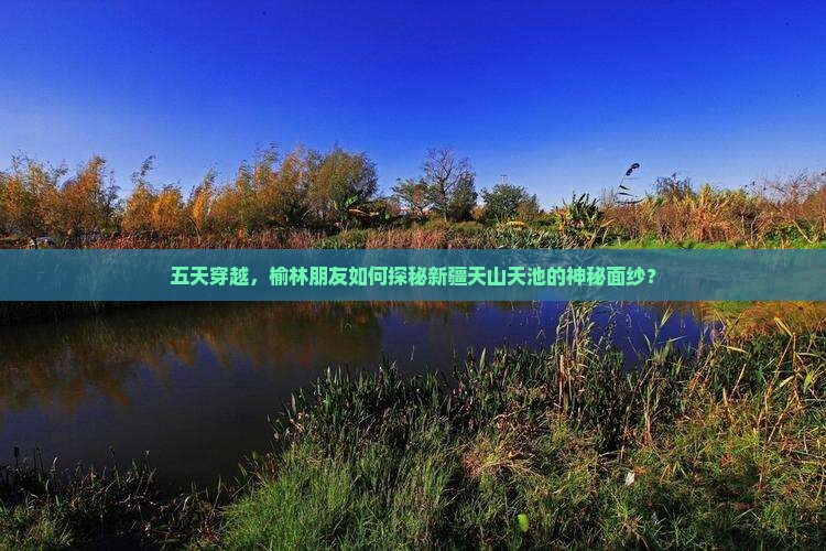 五天穿越，榆林朋友如何探秘新疆天山天池的神秘面纱？