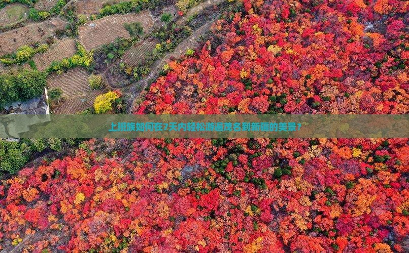 上班族如何在7天内轻松游遍茂名到新疆的美景？