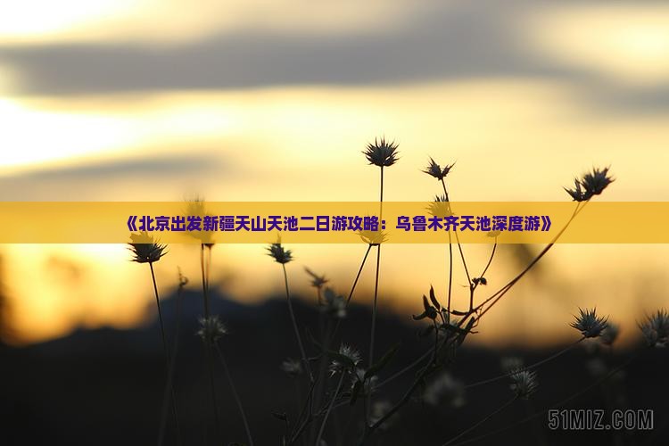 《北京出发新疆天山天池二日游攻略：乌鲁木齐天池深度游》