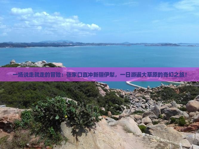 一场说走就走的冒险:张家口直冲新疆伊犁,一日游遍大草原的奇幻之旅! 一场说走就走的冒险:张家口直冲新疆伊犁,一日游遍大草原的奇幻之旅!