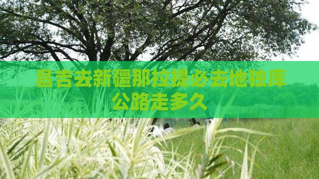 昌吉去新疆那拉提必去地独库公路走多久