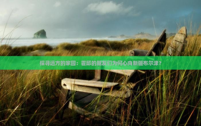 探寻远方的家园：霍邱的朋友们为何心向新疆布尔津？