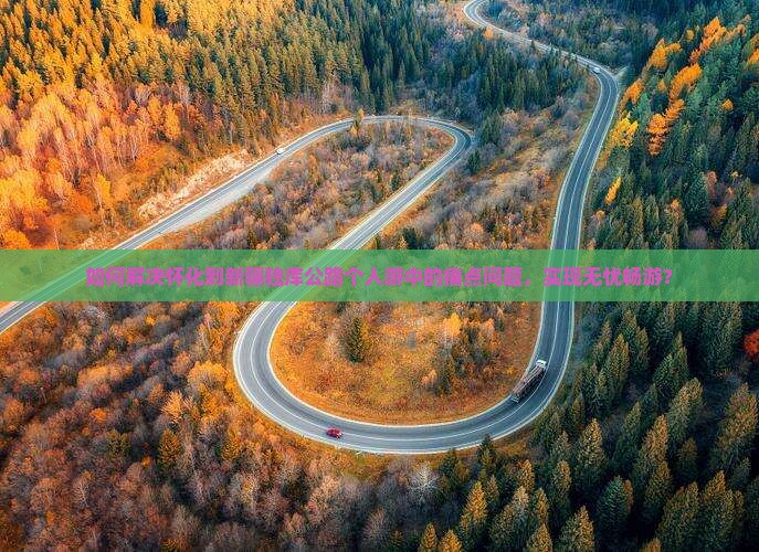 如何解决怀化到新疆独库公路个人游中的痛点问题，实现无忧畅游？