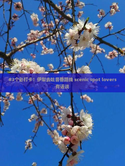 #3个必打卡！伊犁去吐鲁番路线 scenic spot lovers有话说