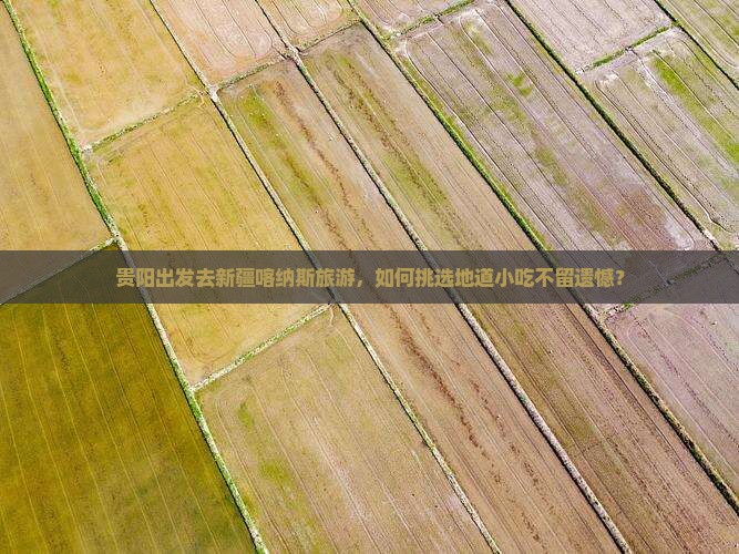 贵阳出发去新疆喀纳斯旅游，如何挑选地道小吃不留遗憾？