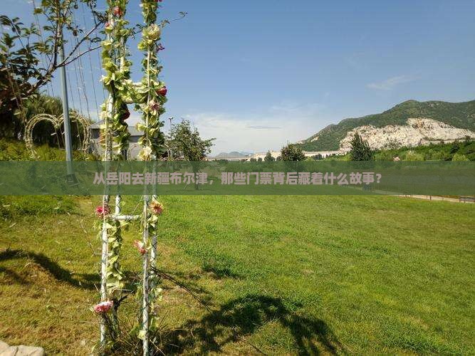 从岳阳去新疆布尔津，那些门票背后藏着什么故事？