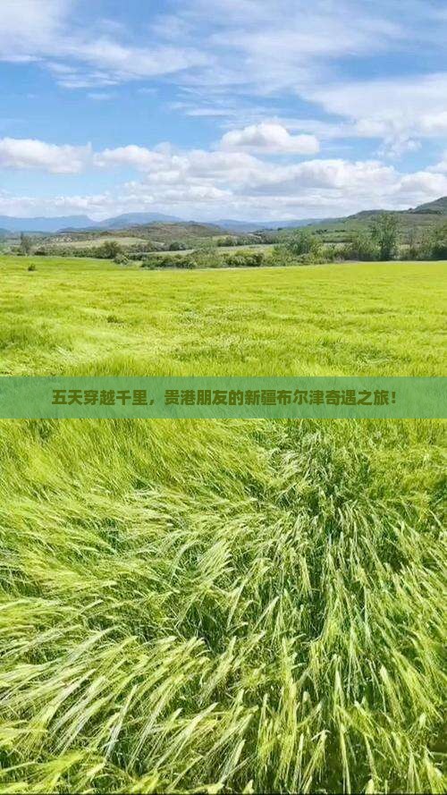 五天穿越千里，贵港朋友的新疆布尔津奇遇之旅！