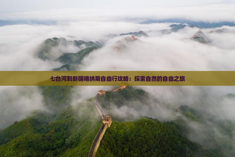 七台河到新疆喀纳斯自由行攻略：探索自然的自由之旅