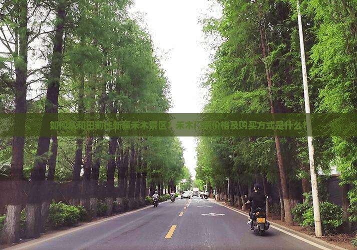 如何从和田前往新疆禾木景区？禾木门票价格及购买方式是什么？