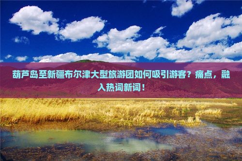 葫芦岛至新疆布尔津大型旅游团如何吸引游客？痛点，融入热词新词！
