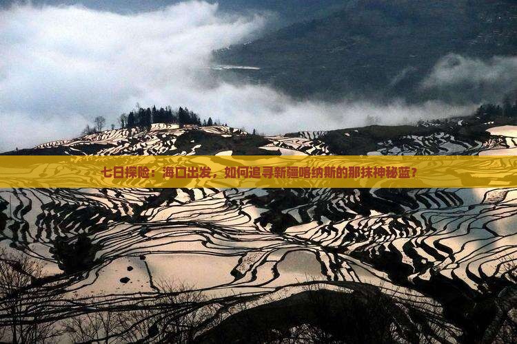 七日探险：海口出发，如何追寻新疆喀纳斯的那抹神秘蓝？