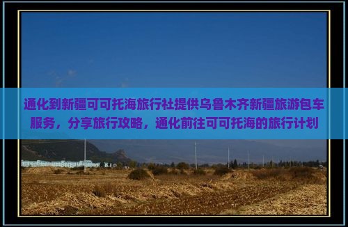通化到新疆可可托海旅行社提供乌鲁木齐新疆旅游包车服务，分享旅行攻略，通化前往可可托海的旅行计划