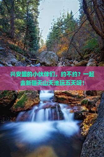 兴安盟去新疆天山天池五日游