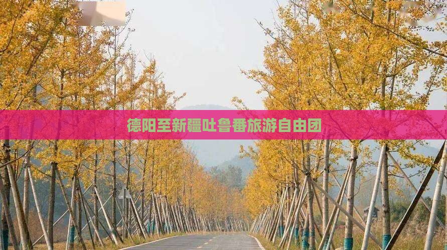 德阳到新疆吐鲁番自由团