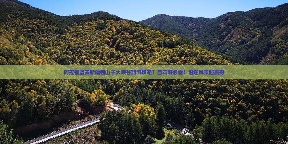 阿拉善盟去新疆独山子大峡谷哪里玩