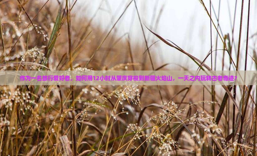 肇庆到新疆火焰山一日