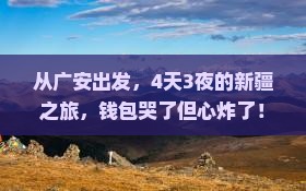 广安到新疆四日游