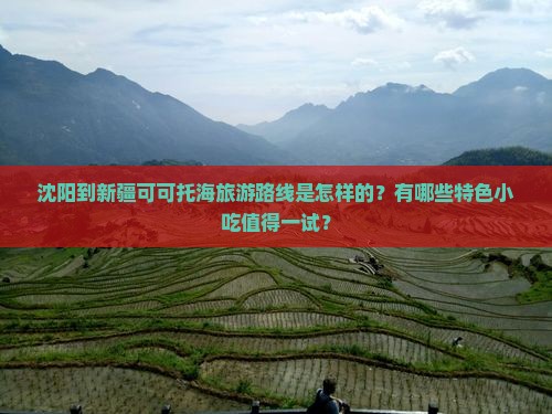 沈阳到新疆可可托海旅游小吃