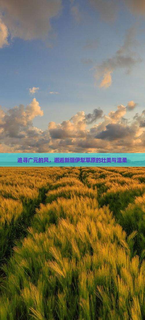 广元去新疆伊犁大草原旅游