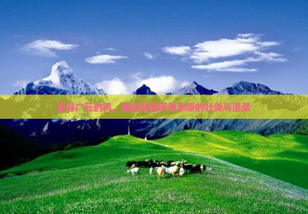 广元去新疆伊犁大草原旅游
