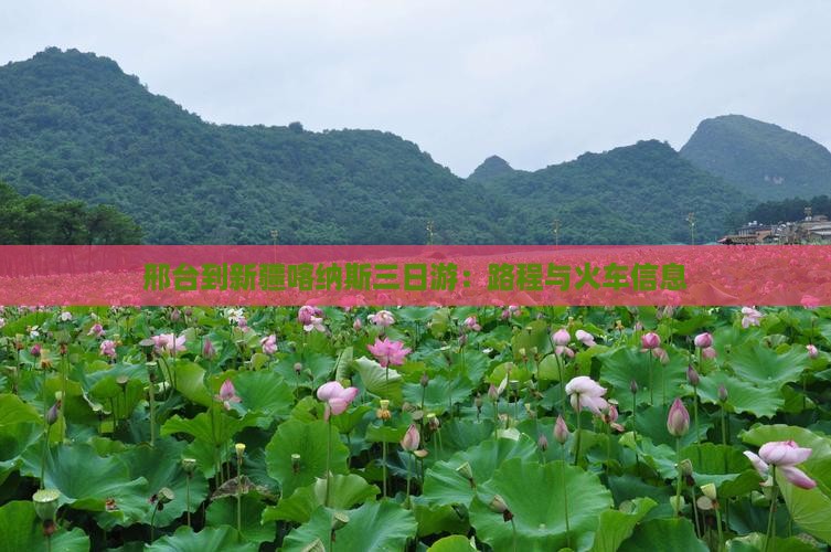 邢台到新疆喀纳斯三日游
