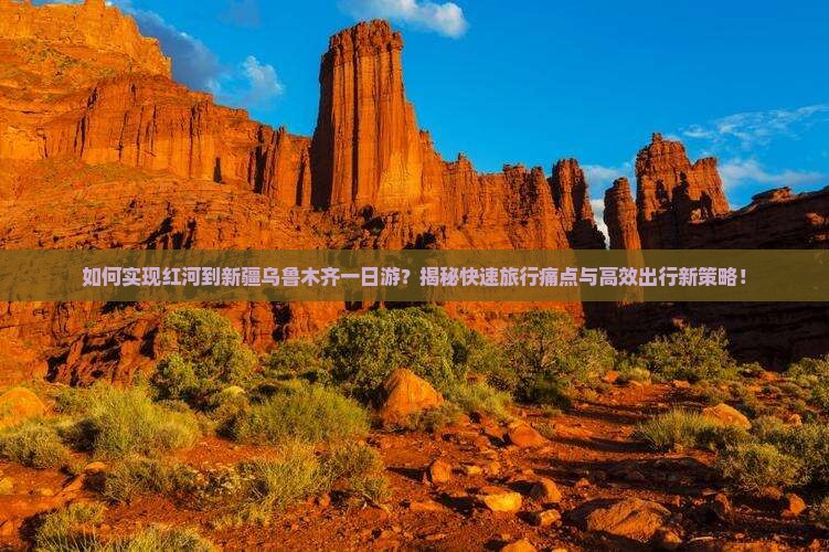 红河到新疆乌鲁木齐一日