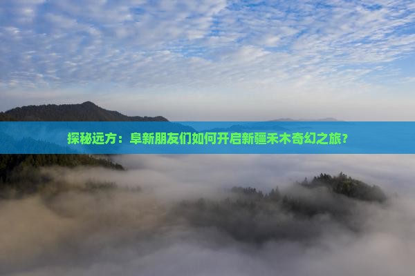 阜新去新疆禾木大型旅游团