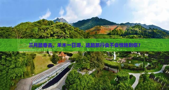 三月去新疆禾木一日