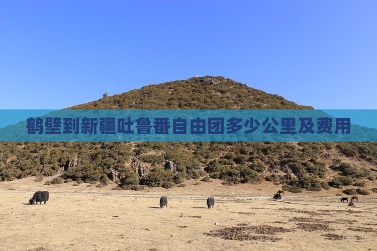 鹤壁到新疆吐鲁番自由团