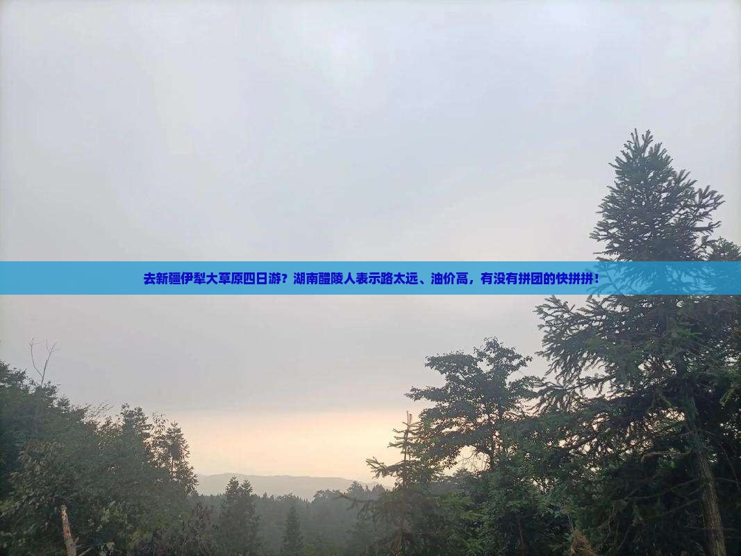 醴陵去新疆伊犁大草原四日游